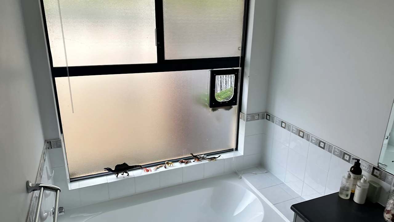 Room in a share house