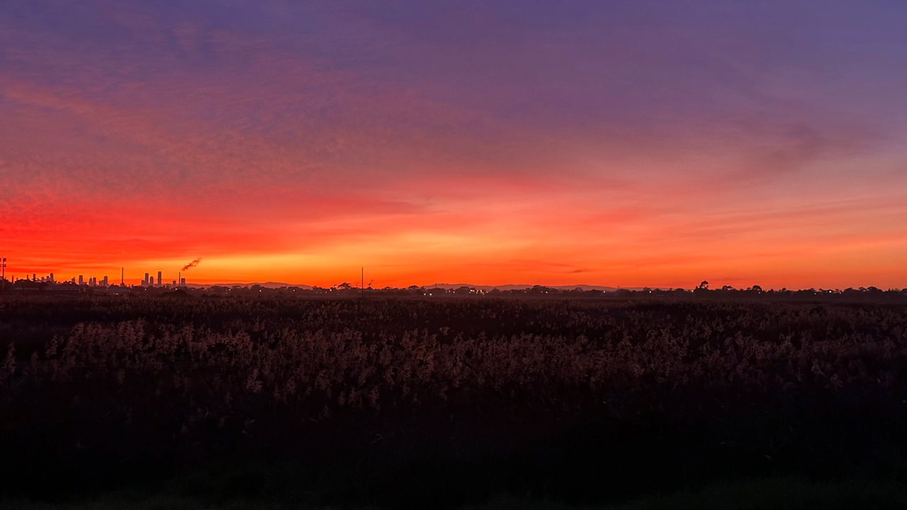 Room in a share house
