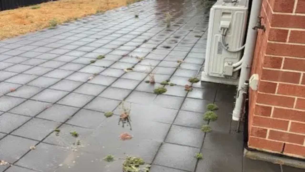 Room with ensuite in a share house