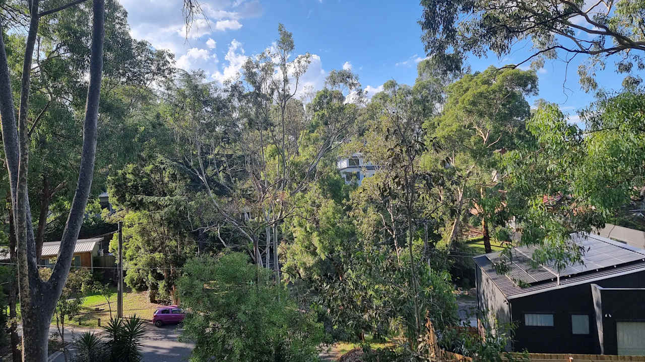 Room in a share house