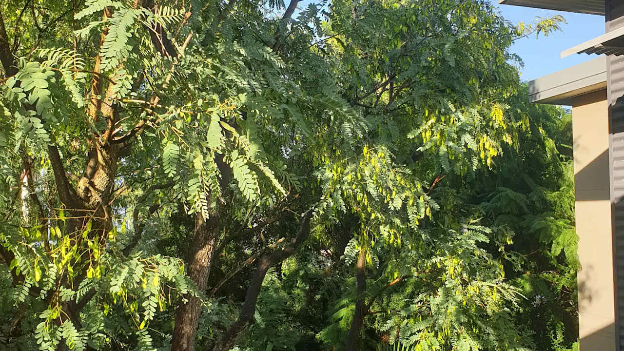 Room with ensuite in a flatshare