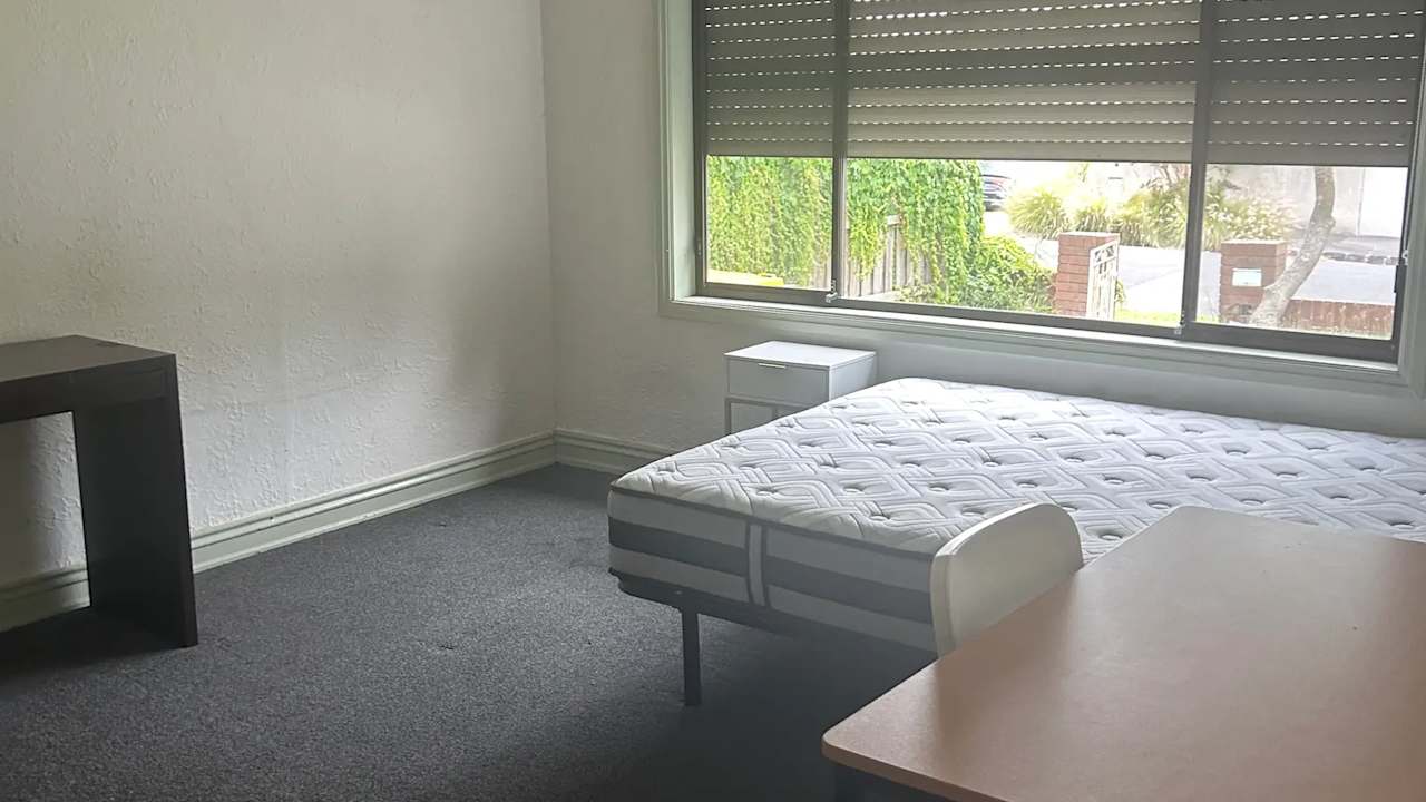 Whole property with 5 rooms for rent