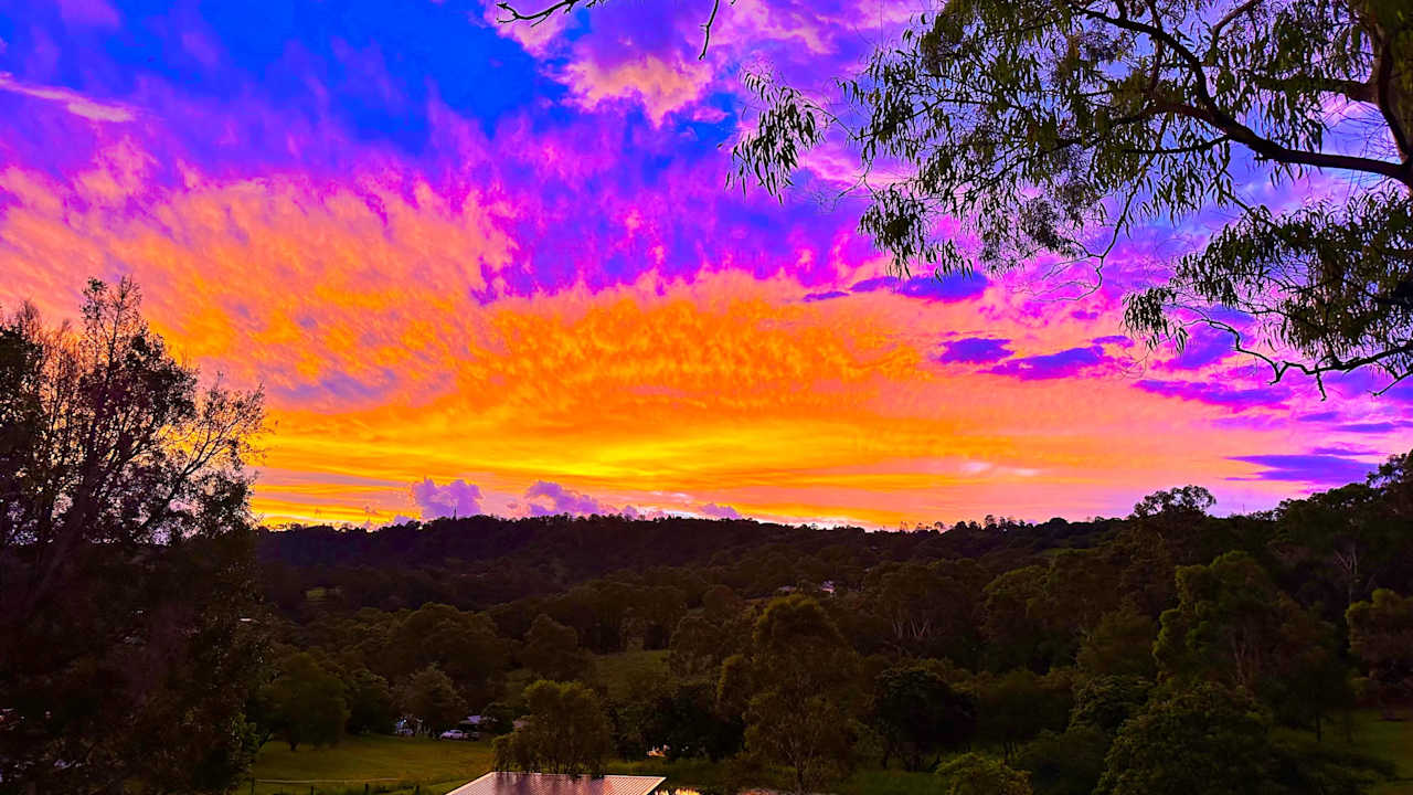 Room in a share house