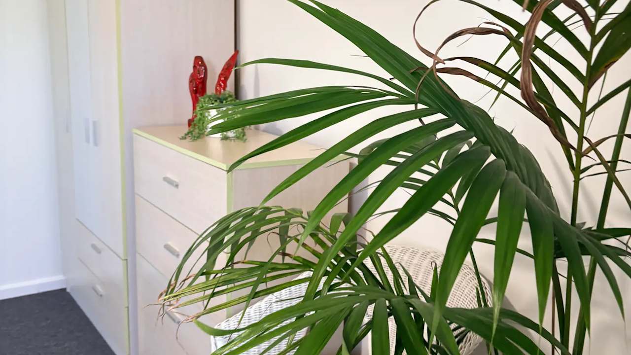 Unfurnished room in a share house