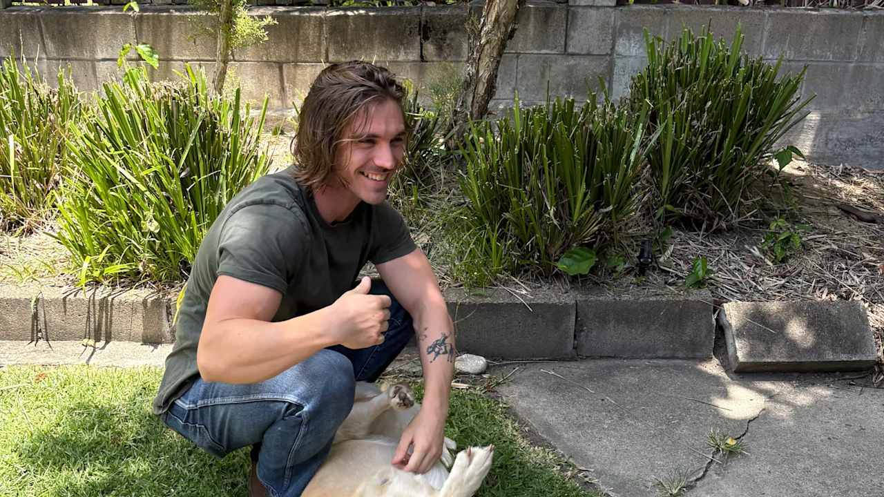 Whole property with 2 rooms for rent