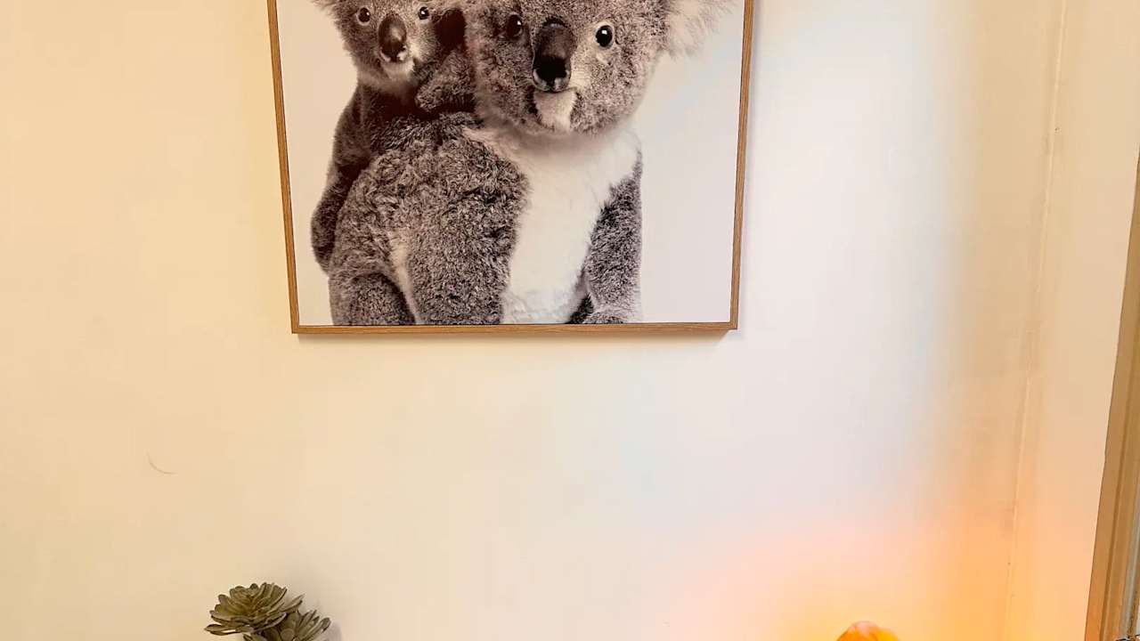 Furnished room in a share house