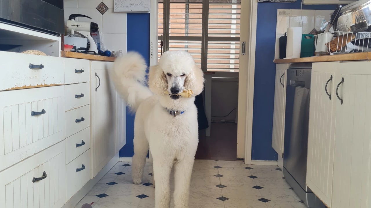 Student accommodation