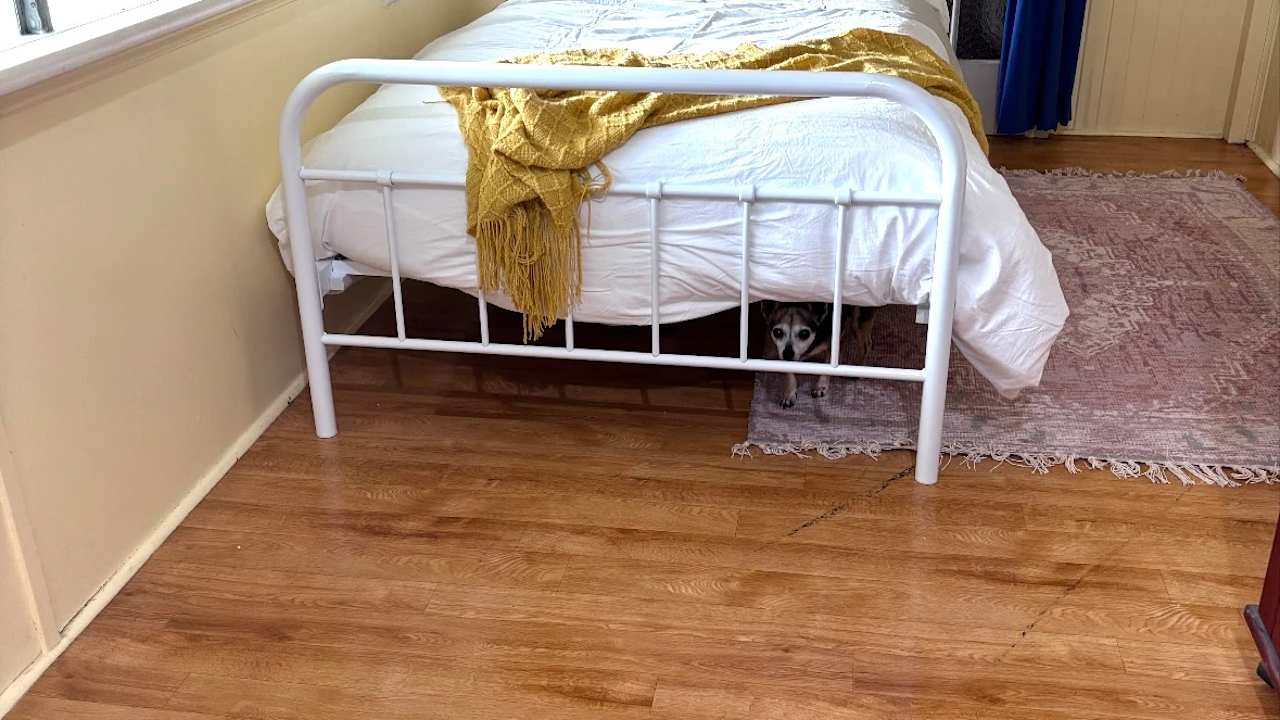 Room with own bathroom