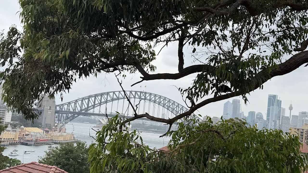 Unfurnished room in a flatshare