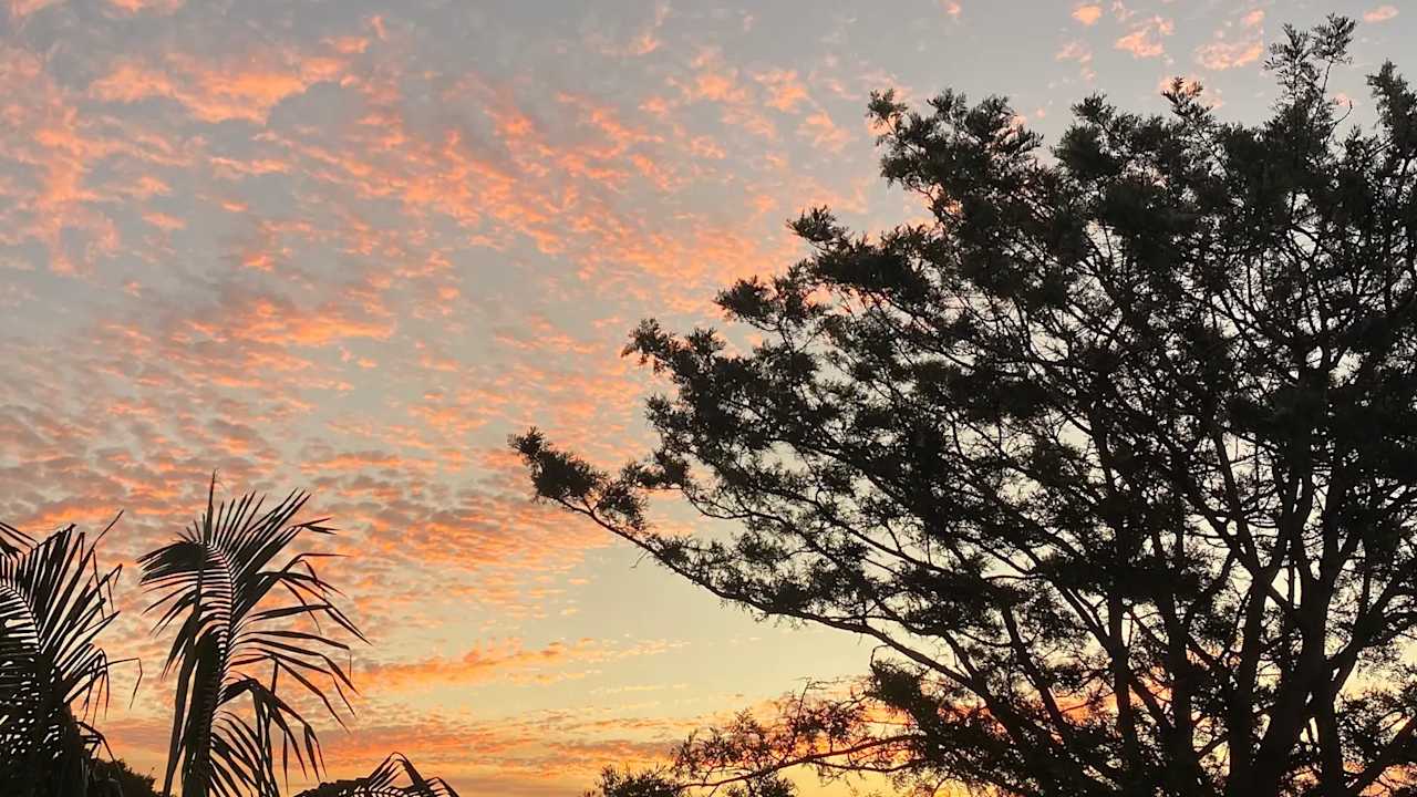 Unfurnished room in a flatshare