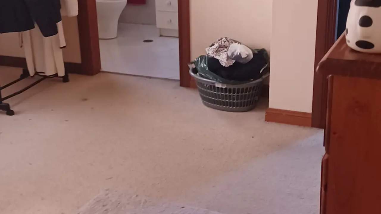 Room with ensuite in a share house
