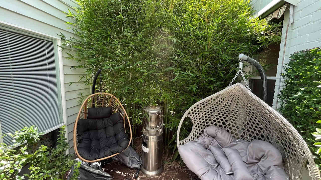 Unfurnished room with own bathroom