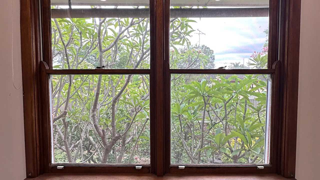 Room in a share house