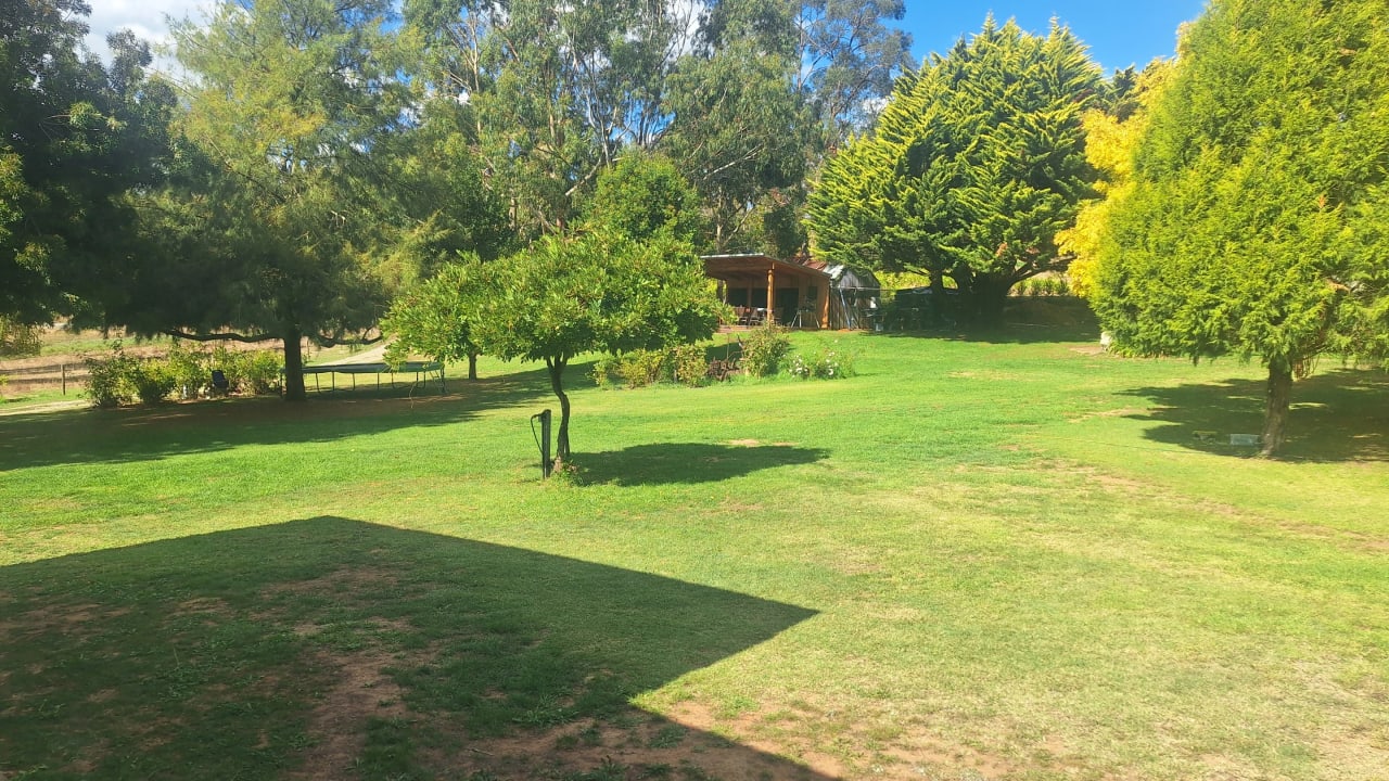 Room in a share house