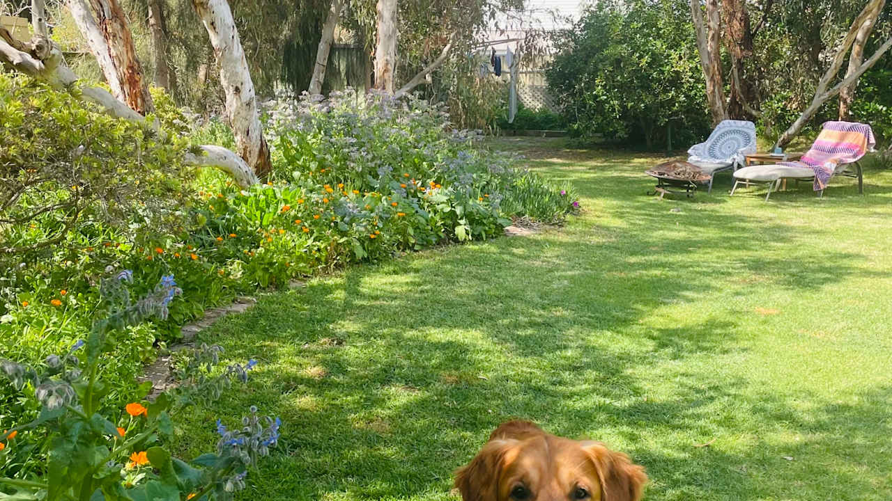 Room in a share house