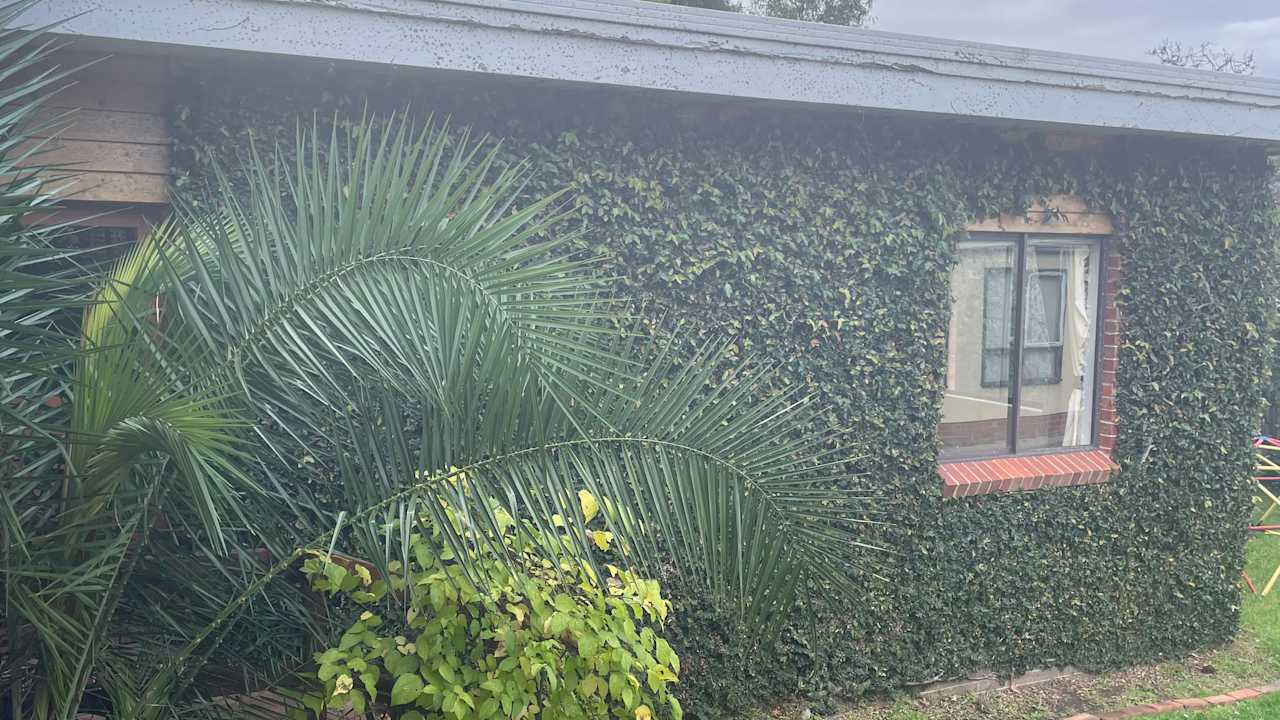 One bed flat for rent