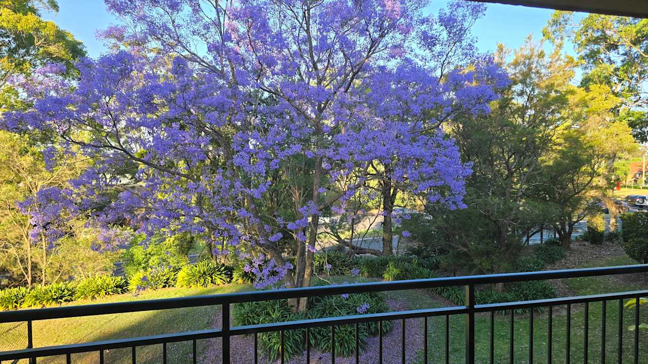 Room with ensuite in a flatshare