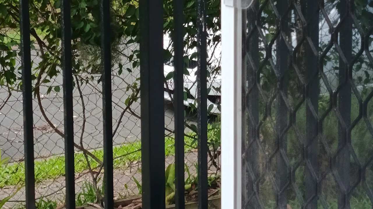Whole property with 4 rooms for rent
