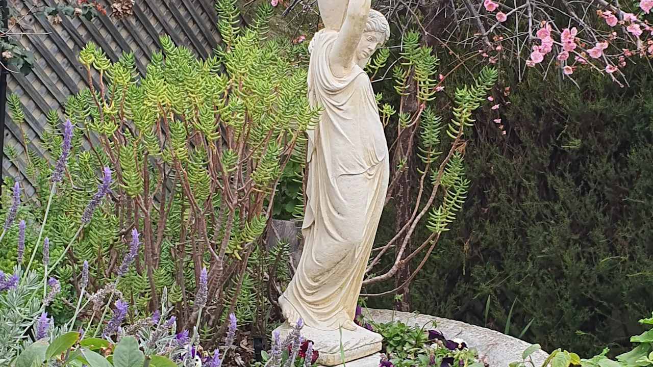 Room in a share house