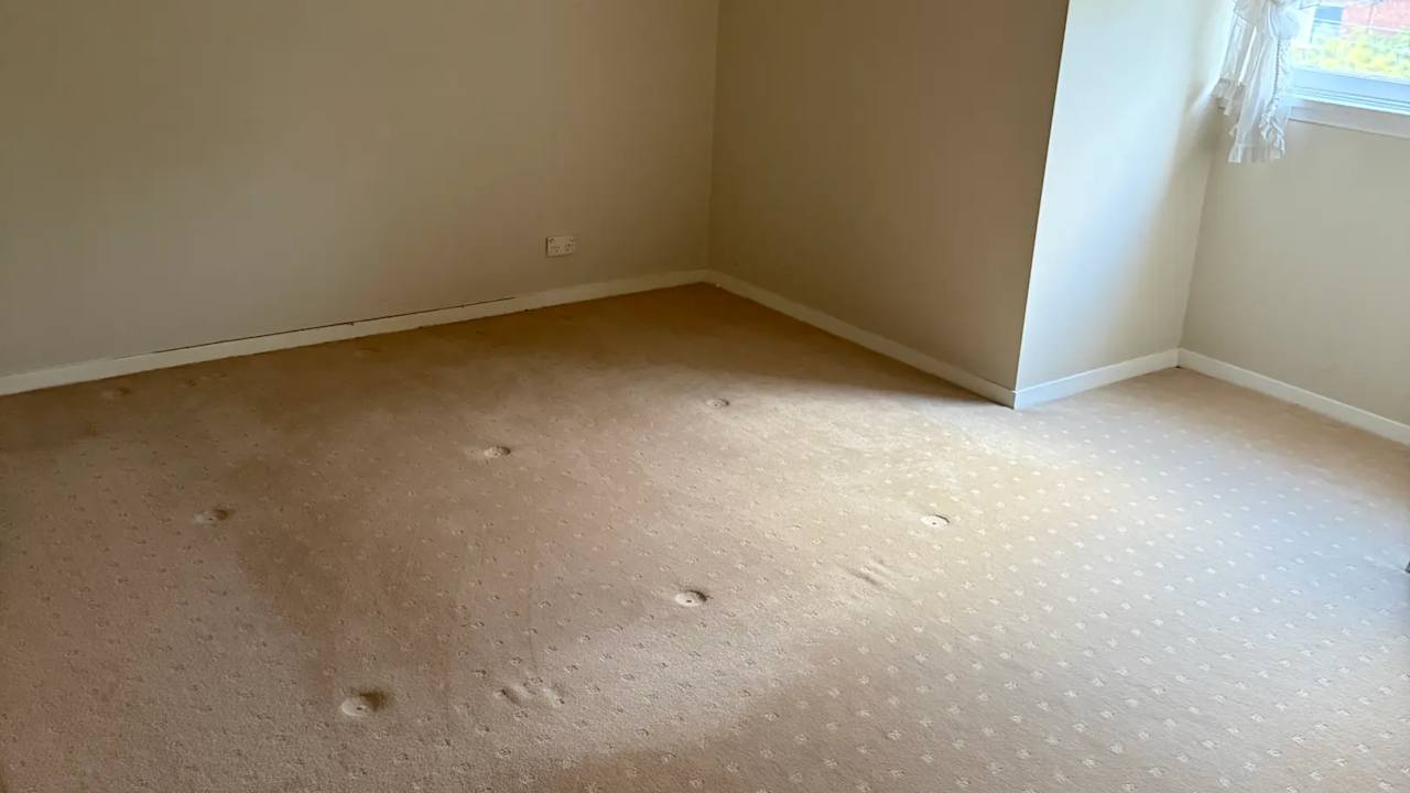 Room in a share house