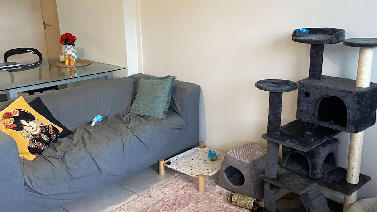 Furnished room in a flatshare