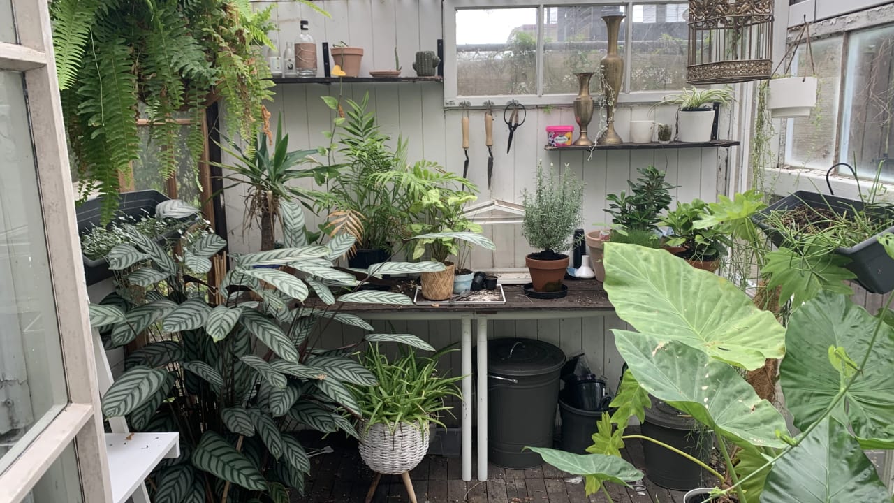 Furnished room in a share house