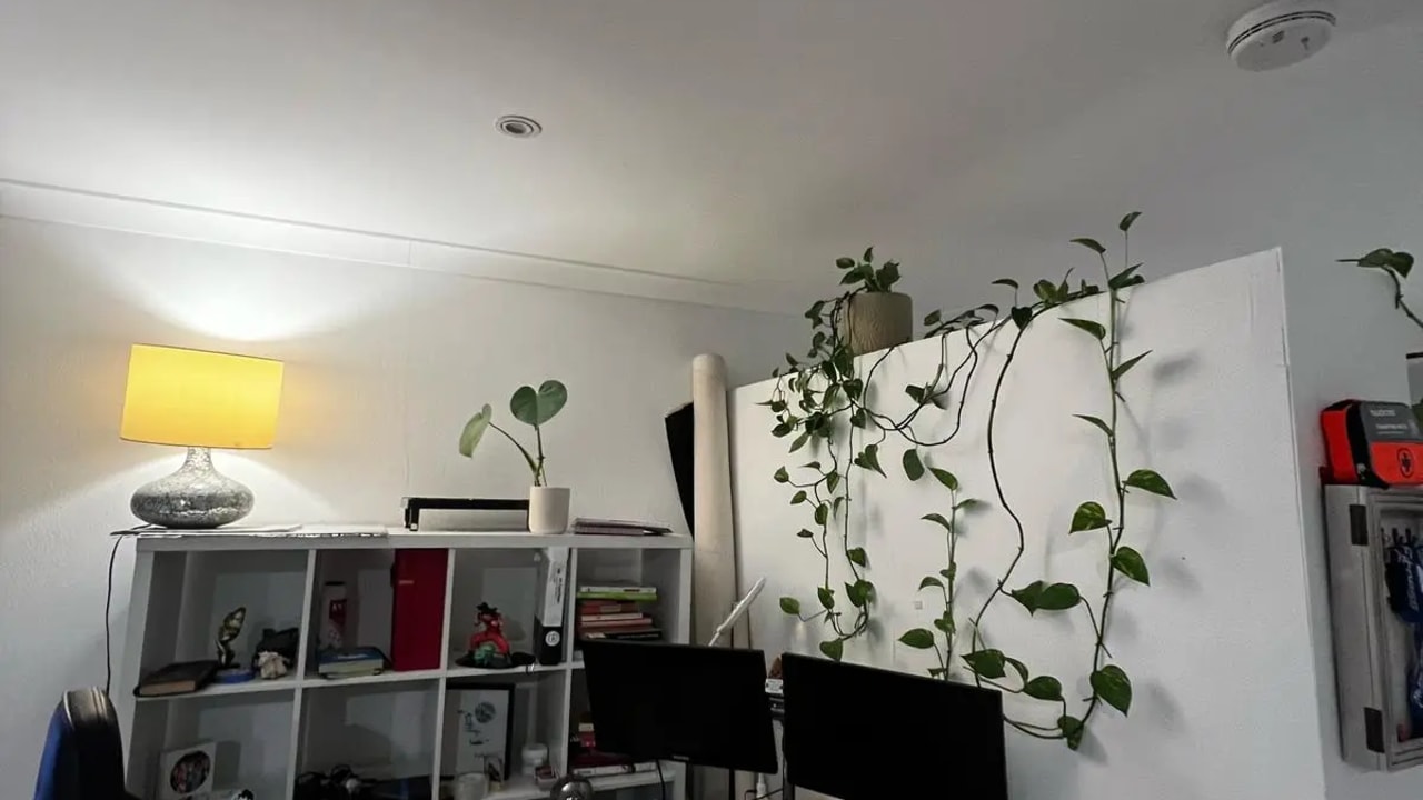 One bed flat for rent