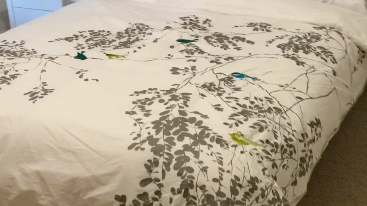 Furnished room in a share house