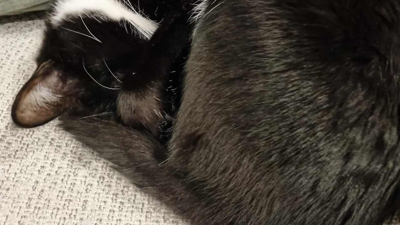 Unfurnished room with own bathroom