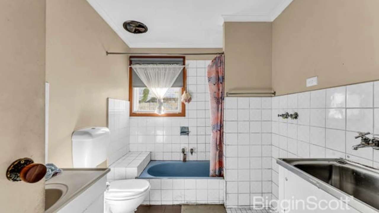Whole property with 5 rooms for rent
