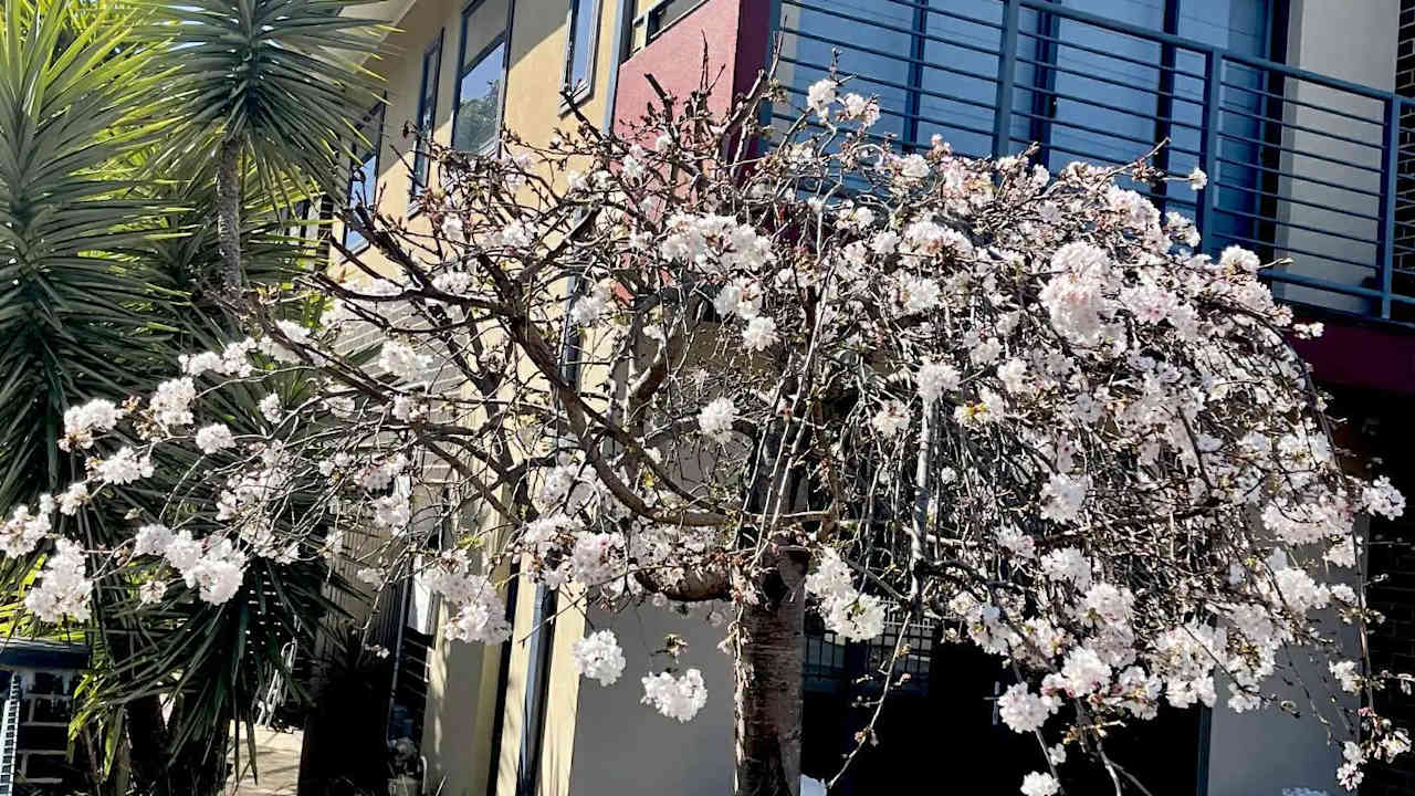 Room with own bathroom