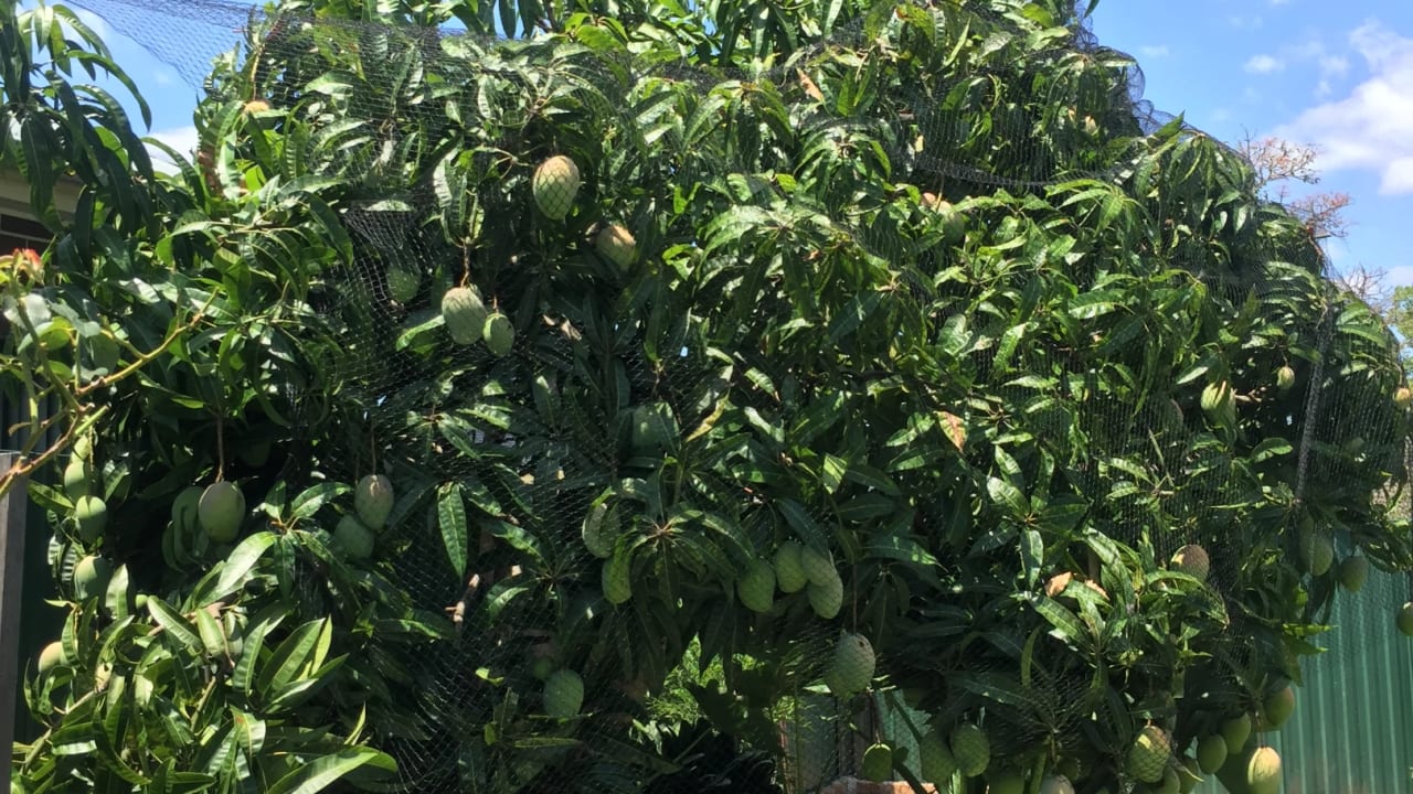 Furnished room granny flat for rent