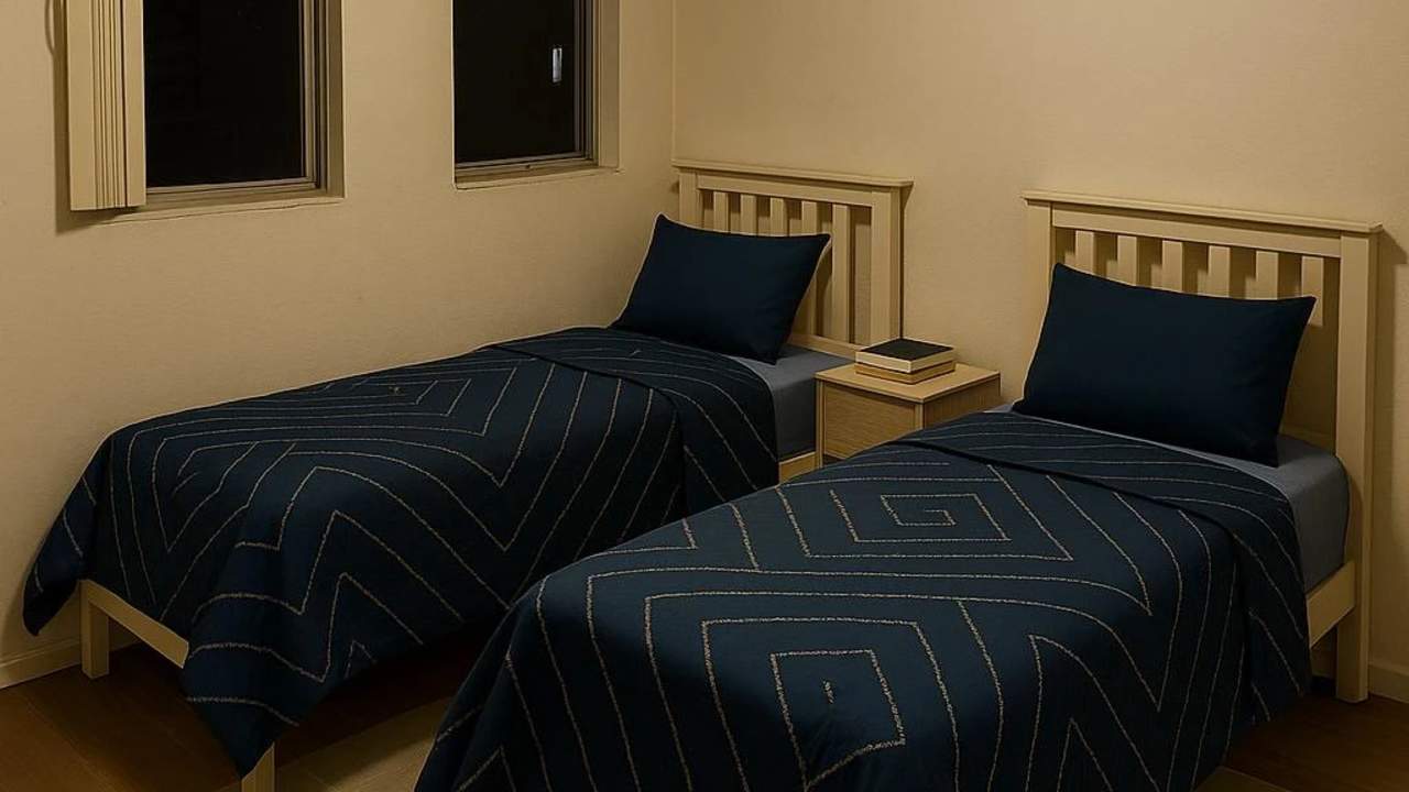 Furnished room in a flatshare