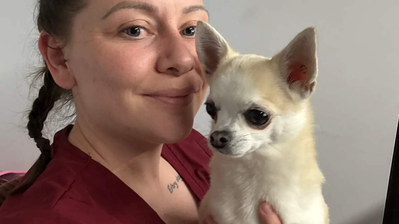 Whole property with 2 rooms for rent