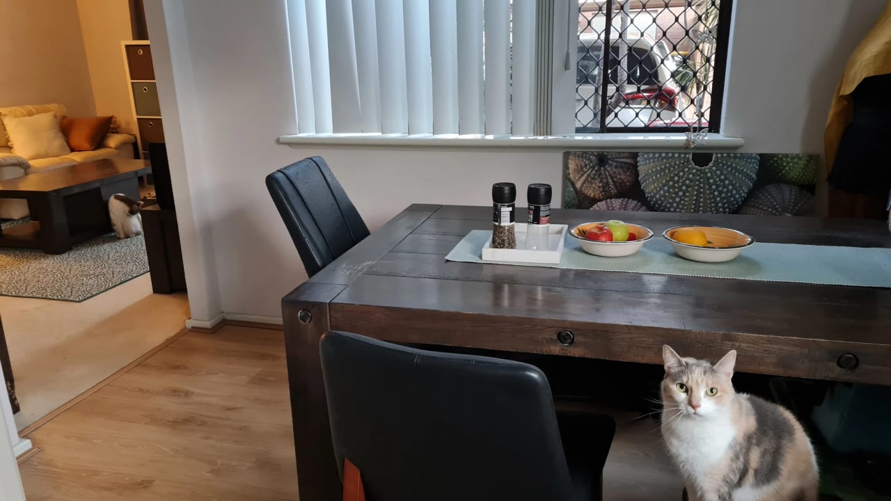 Furnished room in a flatshare