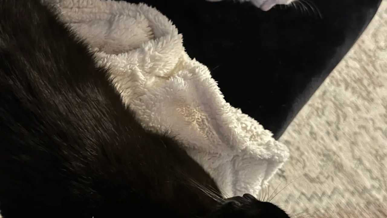 Unfurnished room in a flatshare