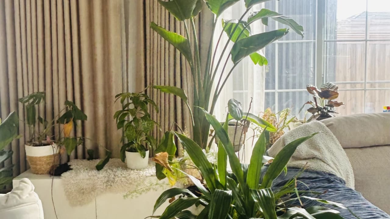 Furnished room in a share house