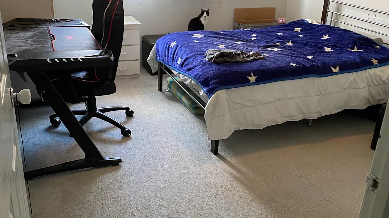 Room in a share house