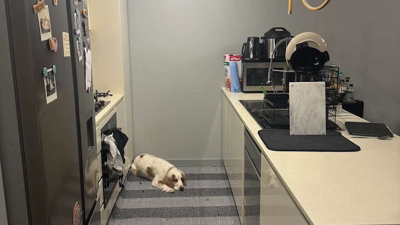 Furnished room in a flatshare