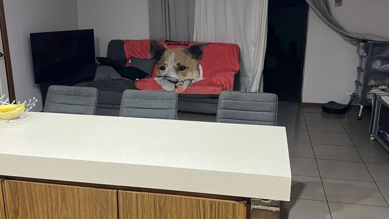Furnished room in a share house