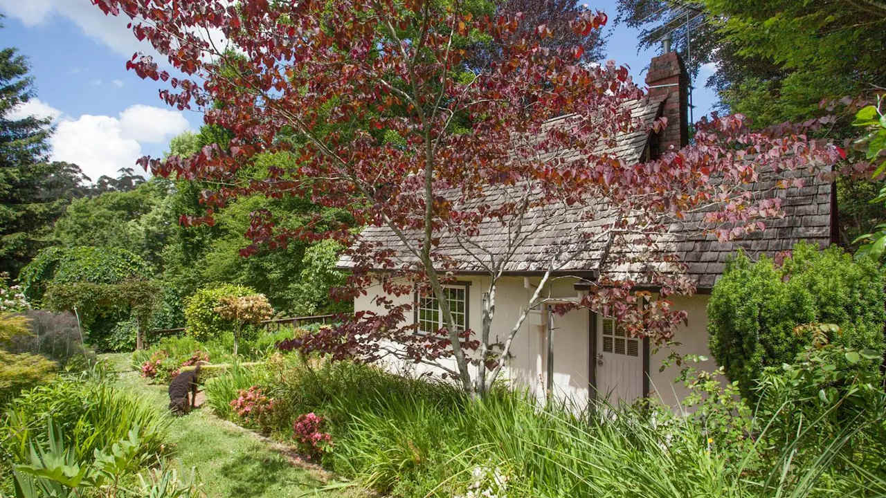 One bed flat for rent