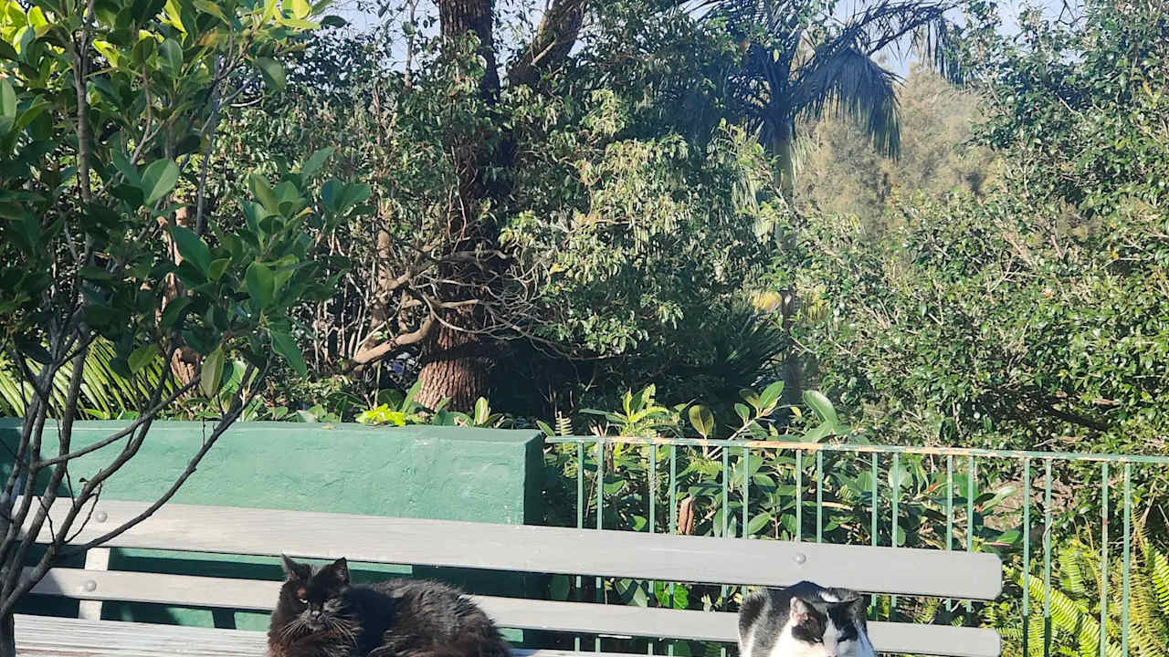 Furnished room in a share house