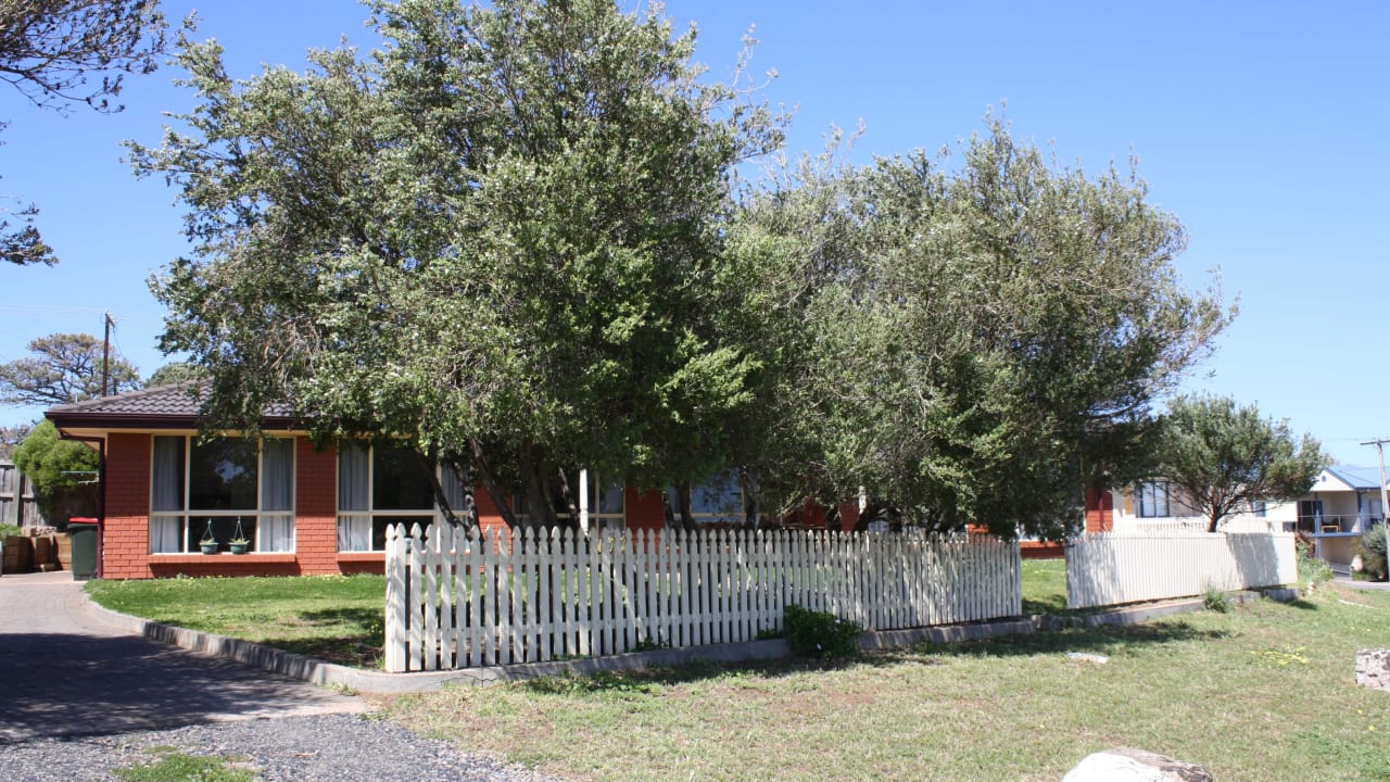 Whole property with 4 rooms for rent