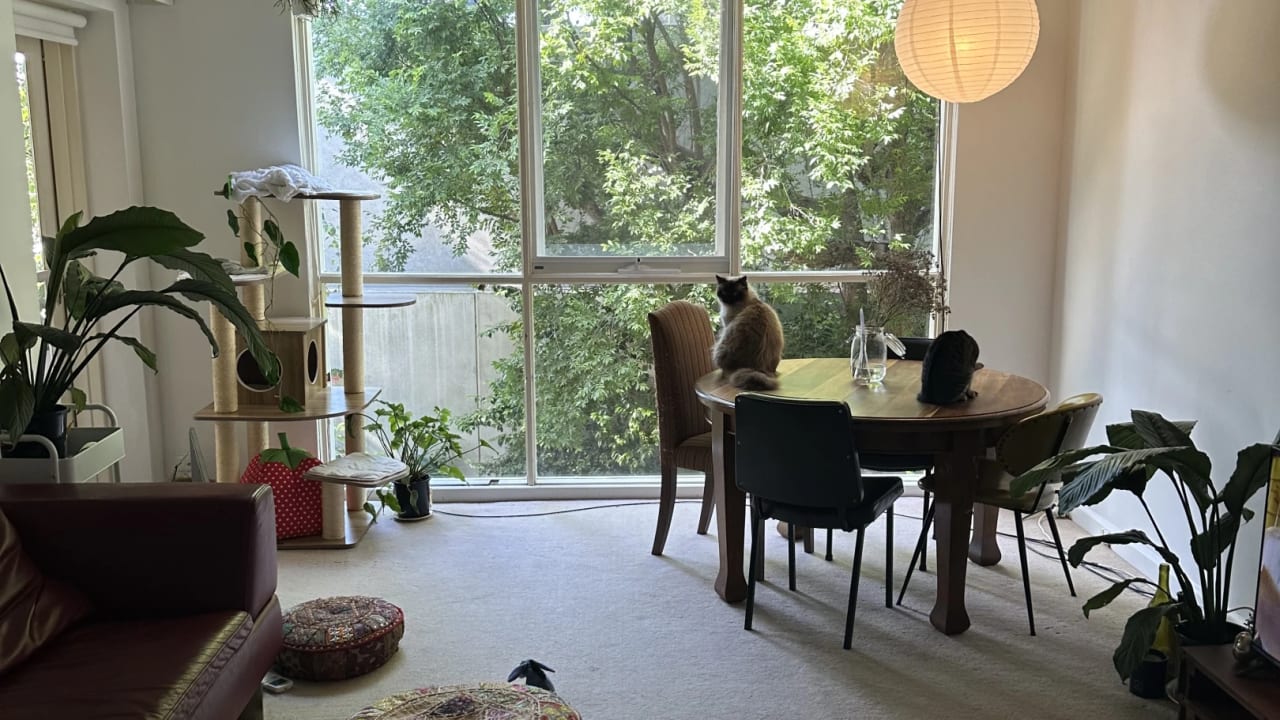 Room in a flatshare