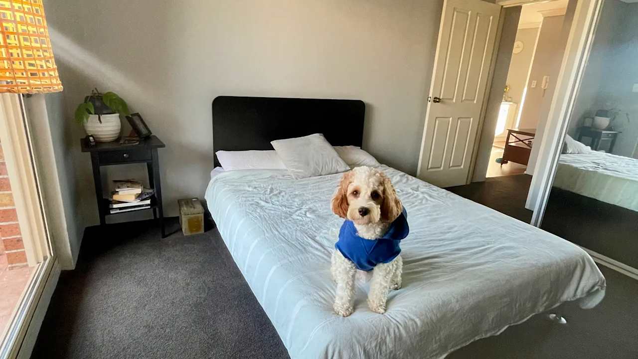 Room in a flatshare