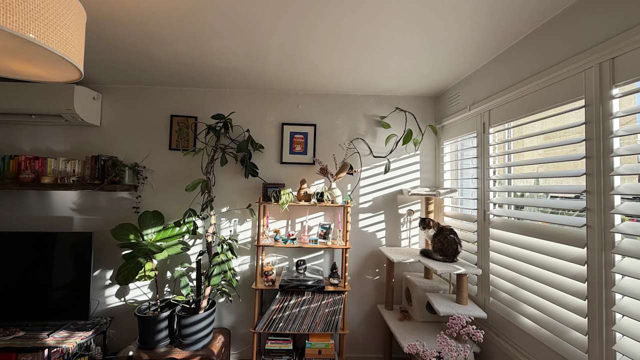 Furnished room in a flatshare
