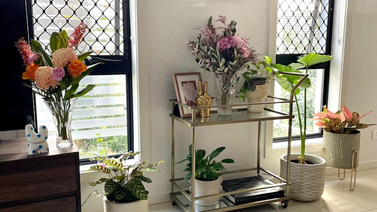 Whole property with 2 rooms for rent
