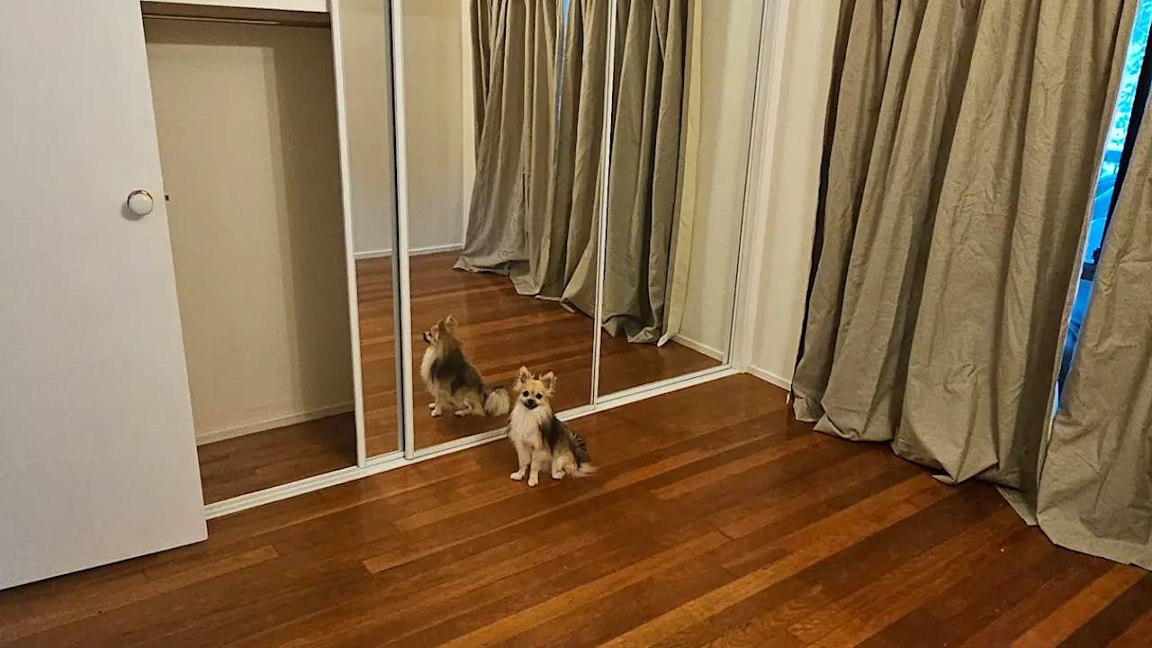 Room in a share house