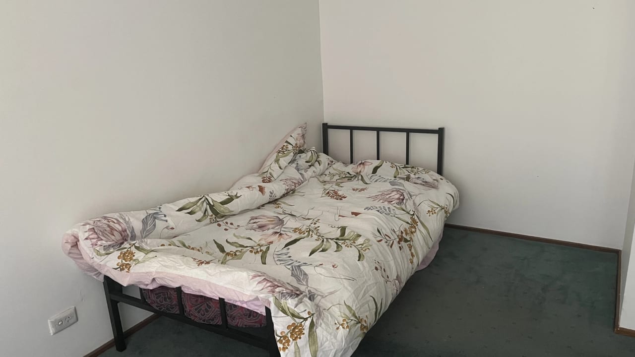 Whole property with 4 rooms for rent