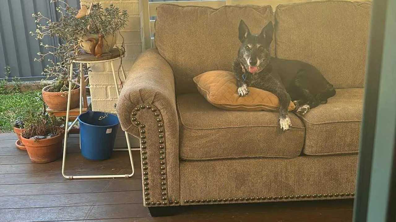 Unfurnished room with ensuite in a share house